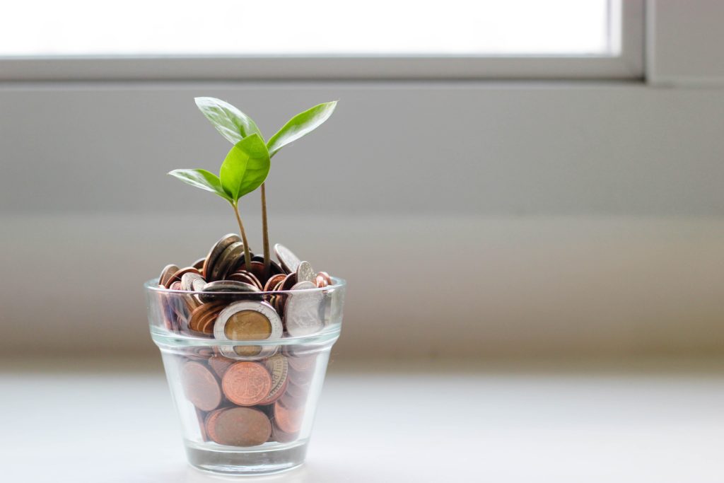 treasures of coins piled up in small glass flower pot with small plan growing up out of the coins